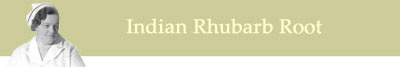 About Indian Rhubarb Root